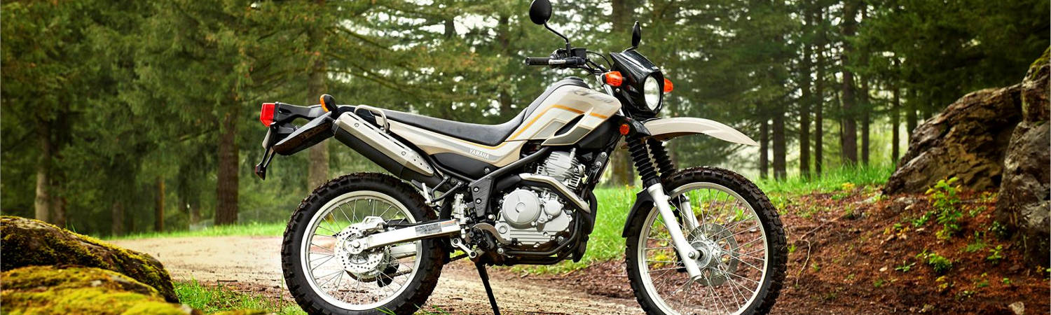2019 Yamaha XT250 Dual Sport for sale in Wheel Sport Center, New Rochelle, New York